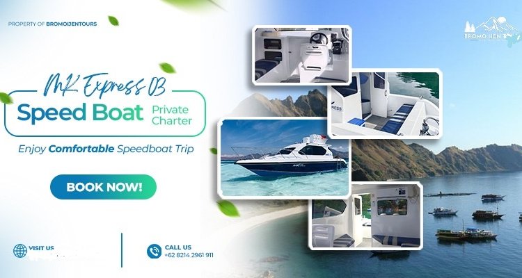 1 day visit Komodo and hopping island tour with a speedboat 1 day visit Komodo and hopping island tour with a speedboat from Labuan Bajo - West Flores 1 day holiday trip to visit Komodo, and hopping island tour with a speedboat from Labuan Bajo - West Flores for exploring the Komodo dragon island tours. Bromoijencratertour.com