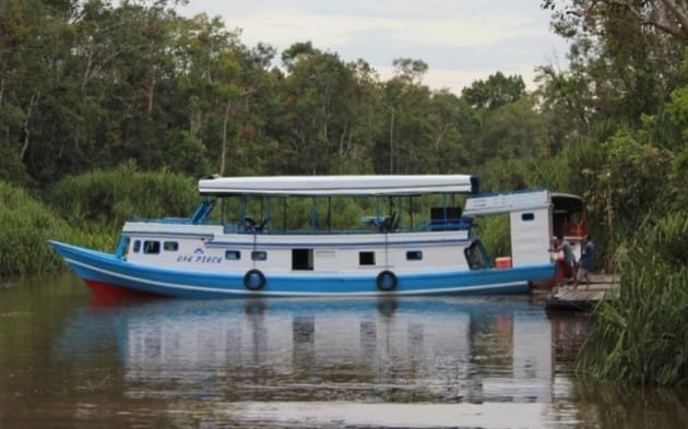 Borneo rainforest river cruise and orangutan tour 3d2n Borneo orangutan tours with with a houseboat river cruise in 3 days holiday trip Borneo Orangutan tour with a houseboat river cruise of  rain forest in Tanjung Puting National Park within 3 days 2 nights holiday travel package Bromoijencratertour.com
