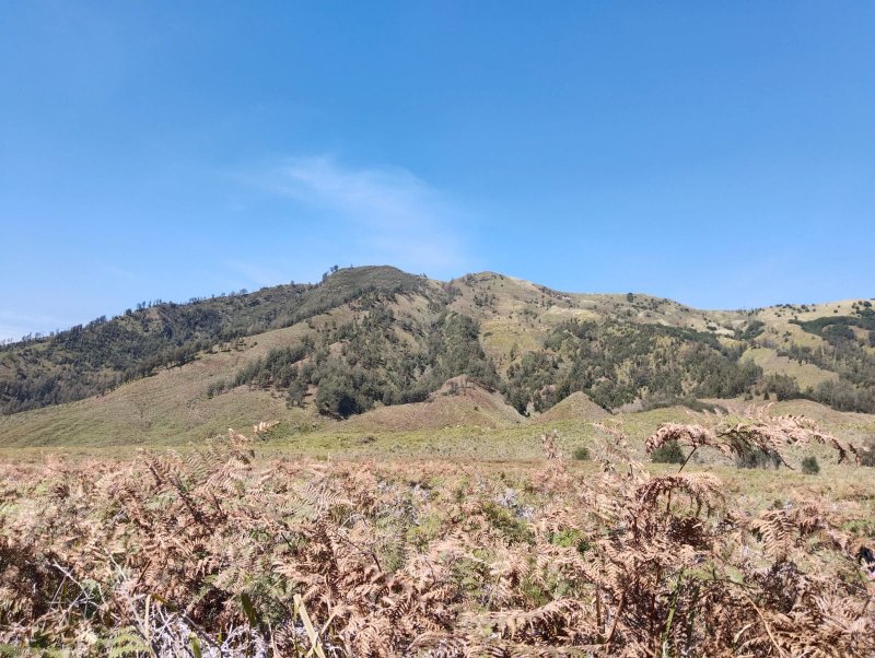 Trip to Bromo Sunrise & Savannah Bentar Sunset Tour 3D 3 days trip from Malang or Surabaya for Bromo sunrise tours, Bromo savannah tours and Bentar beach s East Java tour package for 3 days trip from Malang or Surabaya for Bromo sunrise tours, Bromo savannah tours and Bentar beach sunset tours and back to Surabaya Bromoijencratertour.com