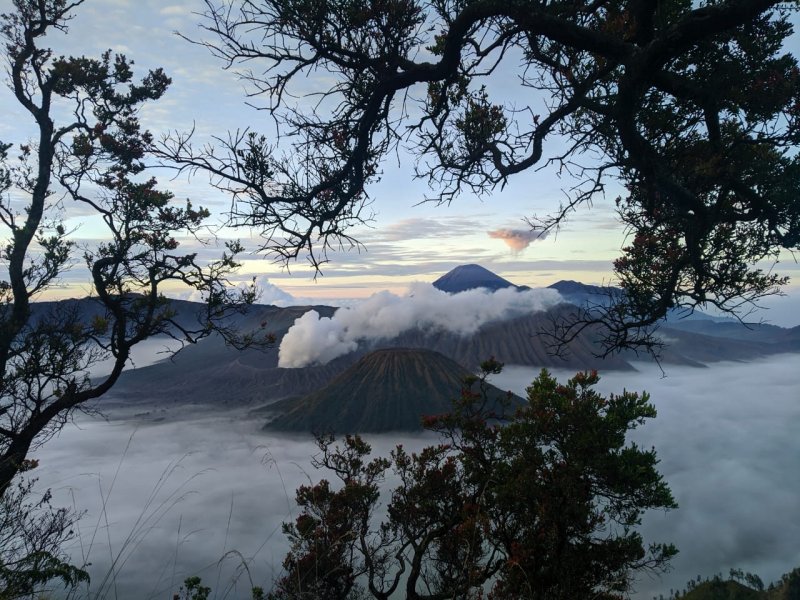 Yogya to Solo & Bromo Tours then to Bali by car 2D Drive from Yogyakarta to Bromo tours via Solo, then to Bali for 2 days trip A private tour package for Bromo tour from Yogyakarta within 2 days trip with reasonable tour price via Solo or Surakarta, then finish at your hotel in Bali   Bromoijencratertour.com